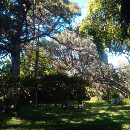 Cabana En Quinta La Aurora 米娜克拉韦罗 外观 照片
