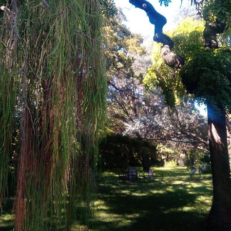 Cabana En Quinta La Aurora 米娜克拉韦罗 外观 照片