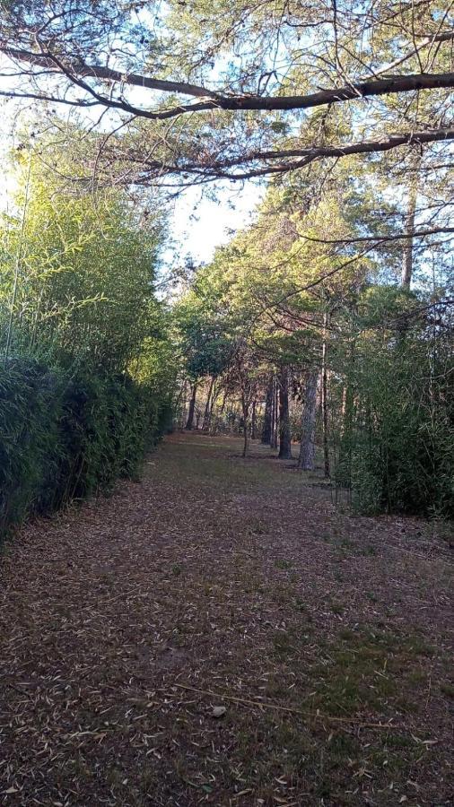 Cabana En Quinta La Aurora 米娜克拉韦罗 外观 照片