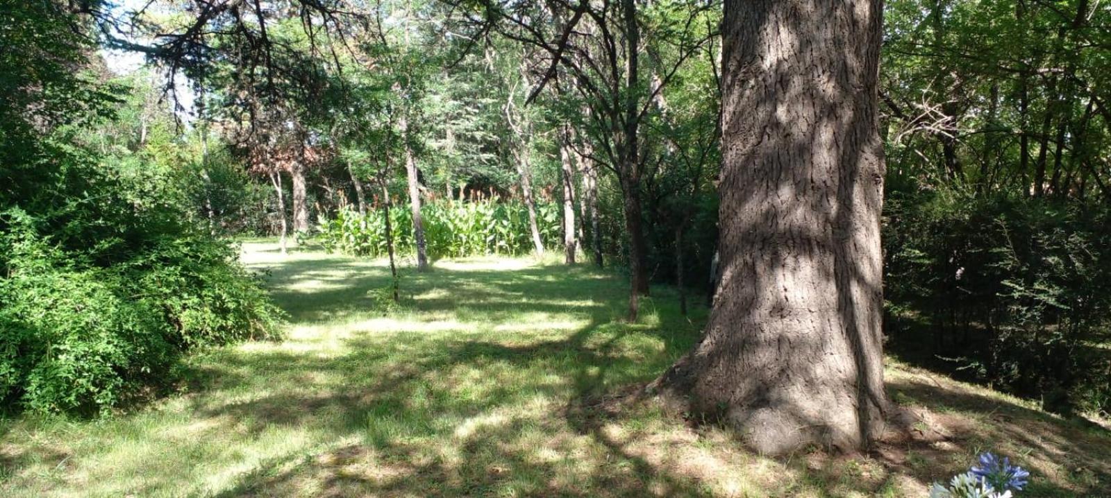 Cabana En Quinta La Aurora 米娜克拉韦罗 外观 照片