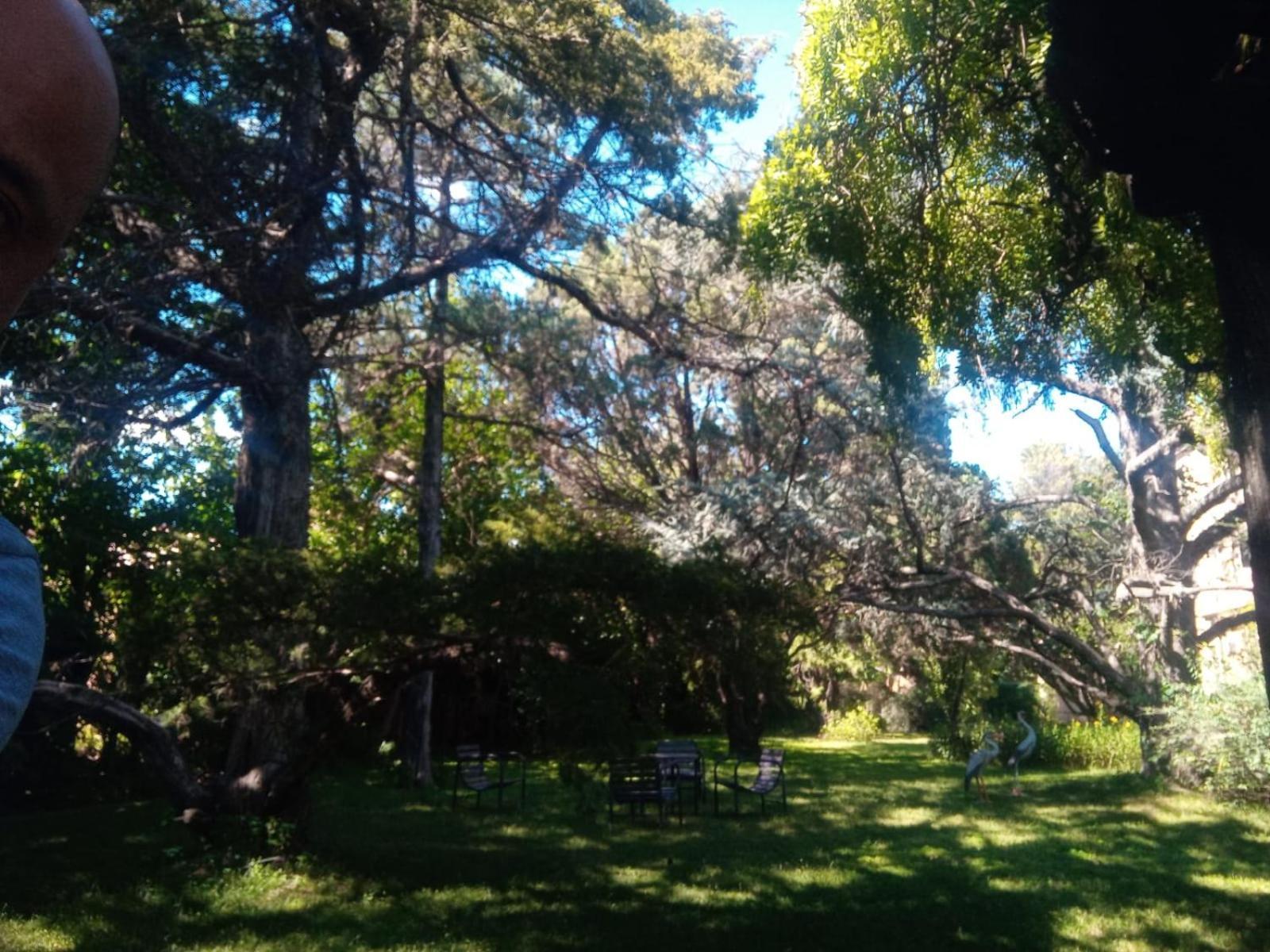 Cabana En Quinta La Aurora 米娜克拉韦罗 外观 照片