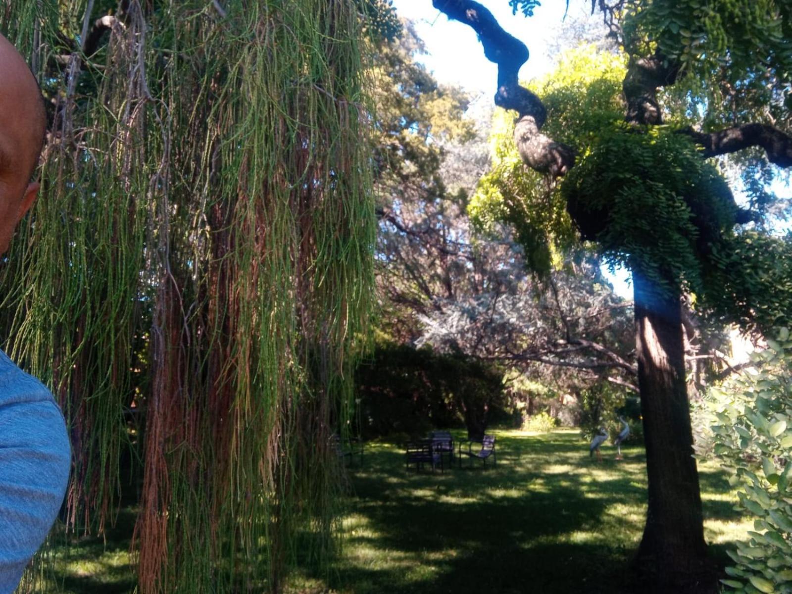 Cabana En Quinta La Aurora 米娜克拉韦罗 外观 照片